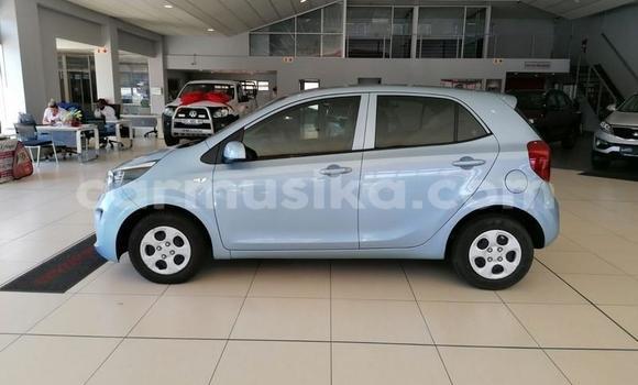 Buy Used Kia Picanto Blue Car in Beitbridge in Matabeleland South Buy Used Kia Picanto Blue Car in Beitbridge in Matabeleland South