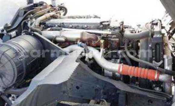 Tenga Tsaru Mitsubishi Fuso Chena Rori in Beitbridge in Matabeleland South Tenga Tsaru Mitsubishi Fuso Chena Rori in Beitbridge in Matabeleland South