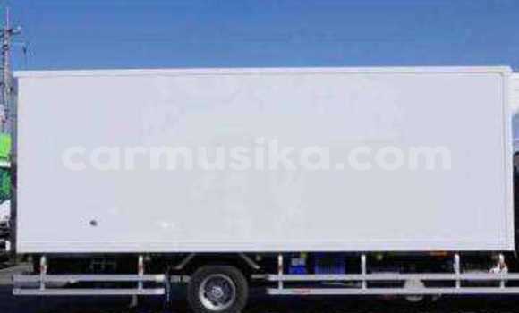 Tenga Tsaru Mitsubishi Fuso Chena Rori in Beitbridge in Matabeleland South Tenga Tsaru Mitsubishi Fuso Chena Rori in Beitbridge in Matabeleland South