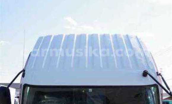 Tenga Tsaru Mitsubishi Fuso Chena Rori in Beitbridge in Matabeleland South Tenga Tsaru Mitsubishi Fuso Chena Rori in Beitbridge in Matabeleland South