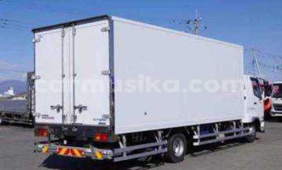 Tenga Tsaru Mitsubishi Fuso Chena Rori in Beitbridge in Matabeleland South Tenga Tsaru Mitsubishi Fuso Chena Rori in Beitbridge in Matabeleland South