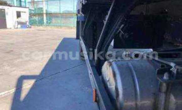 Tenga Tsaru Mitsubishi Fuso Sirivha Rori in Beitbridge in Matabeleland South Tenga Tsaru Mitsubishi Fuso Sirivha Rori in Beitbridge in Matabeleland South