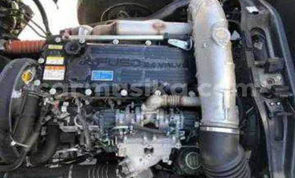 Tenga Tsaru Mitsubishi Fuso Sirivha Rori in Beitbridge in Matabeleland South Tenga Tsaru Mitsubishi Fuso Sirivha Rori in Beitbridge in Matabeleland South