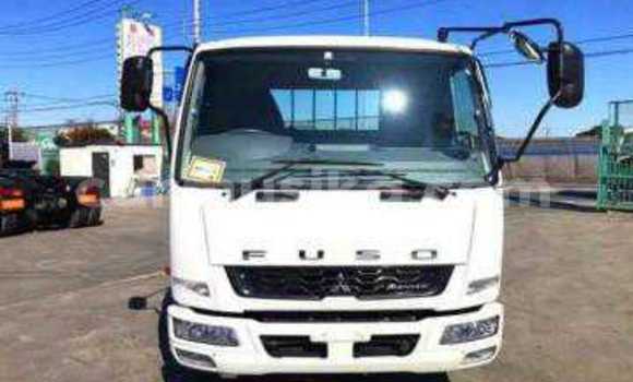 Tenga Tsaru Mitsubishi Fuso Sirivha Rori in Beitbridge in Matabeleland South Tenga Tsaru Mitsubishi Fuso Sirivha Rori in Beitbridge in Matabeleland South