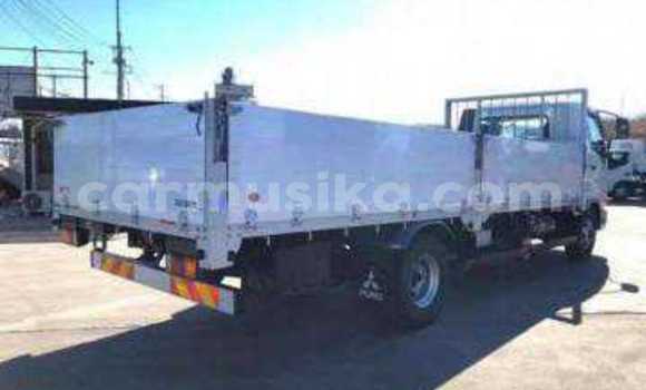 Tenga Tsaru Mitsubishi Fuso Sirivha Rori in Beitbridge in Matabeleland South Tenga Tsaru Mitsubishi Fuso Sirivha Rori in Beitbridge in Matabeleland South