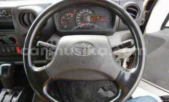 Tenga Tsaru Toyota Dyna Chena Rori in Beitbridge in Matabeleland South Tenga Tsaru Toyota Dyna Chena Rori in Beitbridge in Matabeleland South