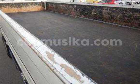 Tenga Tsaru Toyota Dyna Chena Rori in Beitbridge in Matabeleland South Tenga Tsaru Toyota Dyna Chena Rori in Beitbridge in Matabeleland South