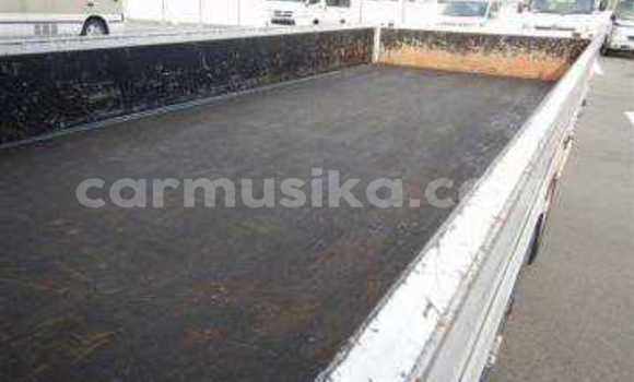 Tenga Tsaru Toyota Dyna Chena Rori in Beitbridge in Matabeleland South Tenga Tsaru Toyota Dyna Chena Rori in Beitbridge in Matabeleland South