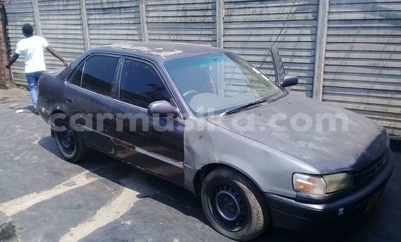 Buy Used Toyota Corolla Black Car in Alexandra Park in Harare Buy Used Toyota Corolla Black Car in Alexandra Park in Harare