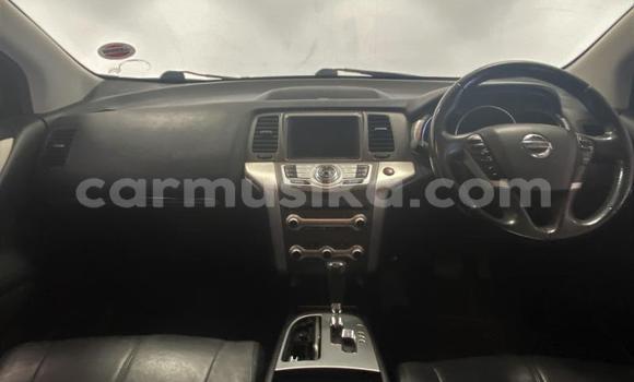 Acheter Occasion Voiture Nissan Murano Gris à Beitbridge, Matabeleland South Acheter Occasion Voiture Nissan Murano Gris à Beitbridge, Matabeleland South