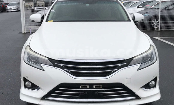 Tenga Tsaru Toyota Mark X Chena Mota in Beitbridge in Matabeleland South