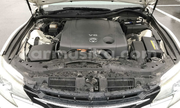 Tenga Tsaru Toyota Mark X Chena Mota in Beitbridge in Matabeleland South Tenga Tsaru Toyota Mark X Chena Mota in Beitbridge in Matabeleland South