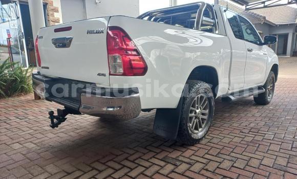 Buy Used Toyota Hilux White Car in Harare in Harare Buy Used Toyota Hilux White Car in Harare in Harare