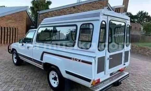 Tenga Tsaru Toyota Hilux Chena Mota in Beitbridge in Matabeleland South