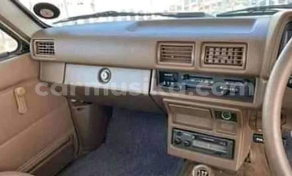 Acheter Occasion Voiture Toyota Hilux Blanc à Beitbridge, Matabeleland South Acheter Occasion Voiture Toyota Hilux Blanc à Beitbridge, Matabeleland South