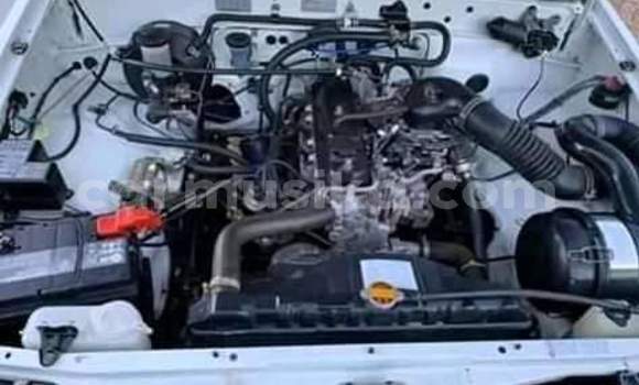 Acheter Occasion Voiture Toyota Hilux Blanc à Beitbridge, Matabeleland South Acheter Occasion Voiture Toyota Hilux Blanc à Beitbridge, Matabeleland South