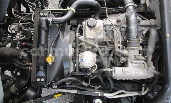 Tenga Tsaru Toyota Dyna Zvimwe Rori in Beitbridge in Matabeleland South Tenga Tsaru Toyota Dyna Zvimwe Rori in Beitbridge in Matabeleland South