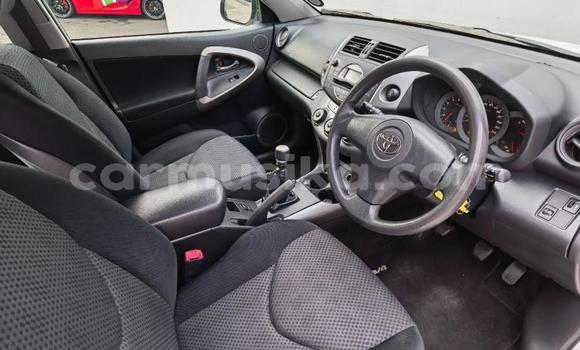 Buy Used Toyota RAV4 White Car in Beitbridge in Matabeleland South Buy Used Toyota RAV4 White Car in Beitbridge in Matabeleland South