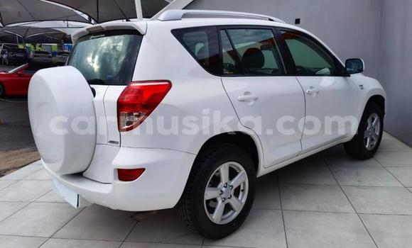 Buy Used Toyota RAV4 White Car in Beitbridge in Matabeleland South Buy Used Toyota RAV4 White Car in Beitbridge in Matabeleland South