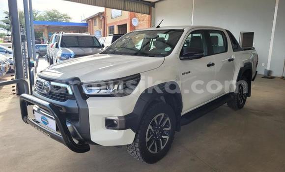 Buy Used Toyota Hilux White Car in Beitbridge in Matabeleland South Buy Used Toyota Hilux White Car in Beitbridge in Matabeleland South