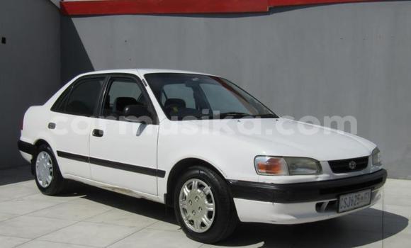 Buy Used Toyota Corolla White Car in Beitbridge in Matabeleland South