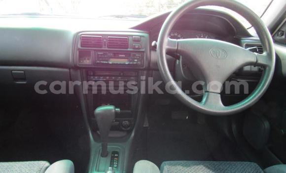 Tenga Tsaru Toyota Corolla Chena Mota in Beitbridge in Matabeleland South Tenga Tsaru Toyota Corolla Chena Mota in Beitbridge in Matabeleland South