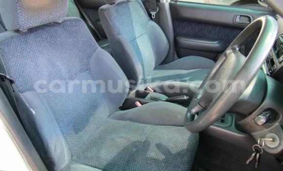 Tenga Tsaru Toyota Corolla Chena Mota in Beitbridge in Matabeleland South Tenga Tsaru Toyota Corolla Chena Mota in Beitbridge in Matabeleland South