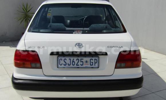 Tenga Tsaru Toyota Corolla Chena Mota in Beitbridge in Matabeleland South Tenga Tsaru Toyota Corolla Chena Mota in Beitbridge in Matabeleland South