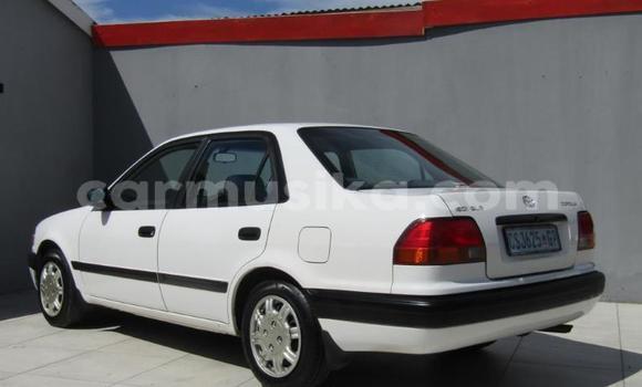 Tenga Tsaru Toyota Corolla Chena Mota in Beitbridge in Matabeleland South Tenga Tsaru Toyota Corolla Chena Mota in Beitbridge in Matabeleland South