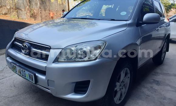 Tenga Tsaru Toyota RAV4 Sirivha Mota in Harare in Harare