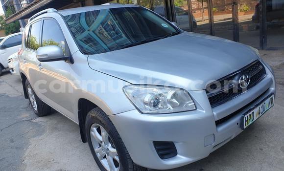 Buy Used Toyota RAV4 Silver Car in Harare in Harare Buy Used Toyota RAV4 Silver Car in Harare in Harare