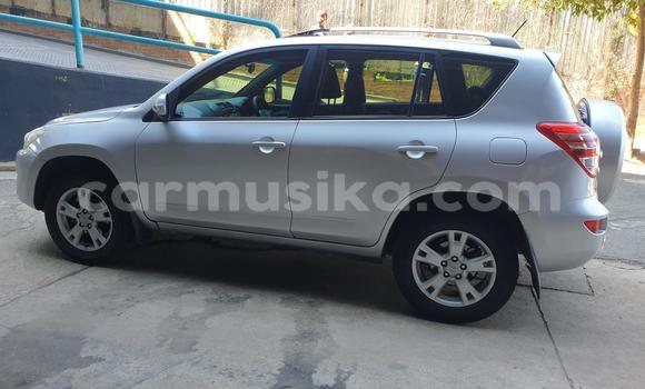 Buy Used Toyota RAV4 Silver Car in Harare in Harare Buy Used Toyota RAV4 Silver Car in Harare in Harare