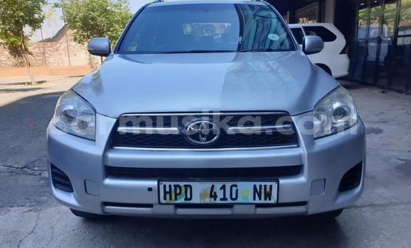 Buy Used Toyota RAV4 Silver Car in Harare in Harare Buy Used Toyota RAV4 Silver Car in Harare in Harare