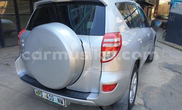 Buy Used Toyota RAV4 Silver Car in Harare in Harare Buy Used Toyota RAV4 Silver Car in Harare in Harare