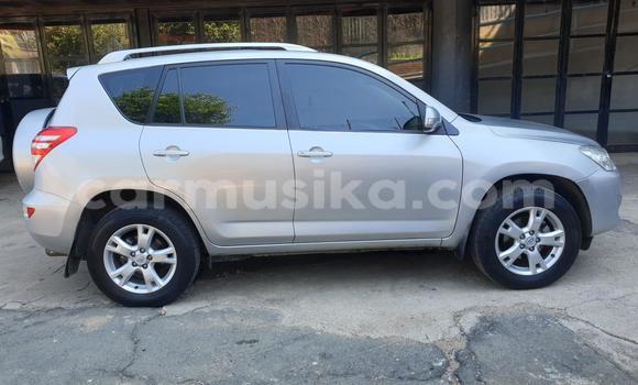 Buy Used Toyota RAV4 Silver Car in Harare in Harare Buy Used Toyota RAV4 Silver Car in Harare in Harare