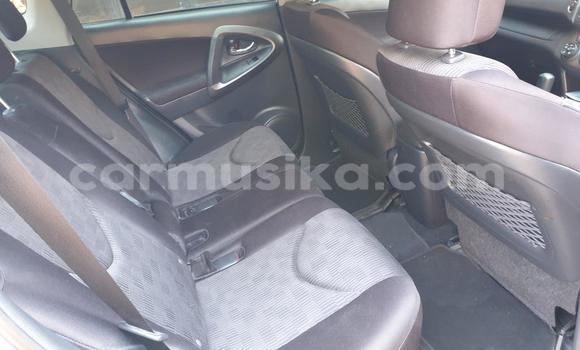 Buy Used Toyota RAV4 Silver Car in Harare in Harare Buy Used Toyota RAV4 Silver Car in Harare in Harare