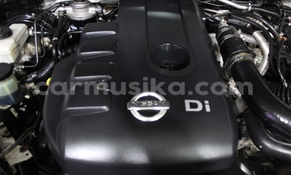 Buy Used Nissan Navara (Frontier) White Car in Beitbridge in Matabeleland South Buy Used Nissan Navara (Frontier) White Car in Beitbridge in Matabeleland South