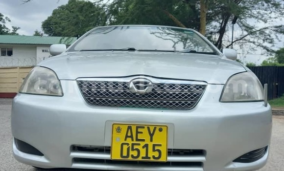 Tenga Tsaru Toyota Runx Sirivha Mota in Harare in Harare Tenga Tsaru Toyota Runx Sirivha Mota in Harare in Harare