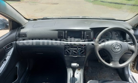 Tenga Tsaru Toyota Runx Sirivha Mota in Harare in Harare Tenga Tsaru Toyota Runx Sirivha Mota in Harare in Harare