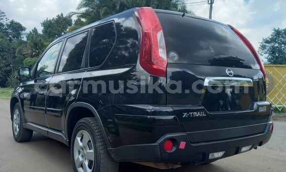 Tenga Tsaru Nissan XâTrail Nhema Mota in Harare in Harare Tenga Tsaru Nissan XâTrail Nhema Mota in Harare in Harare