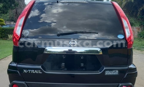 Tenga Tsaru Nissan XâTrail Nhema Mota in Harare in Harare Tenga Tsaru Nissan XâTrail Nhema Mota in Harare in Harare