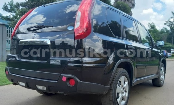 Tenga Tsaru Nissan XâTrail Nhema Mota in Harare in Harare Tenga Tsaru Nissan XâTrail Nhema Mota in Harare in Harare