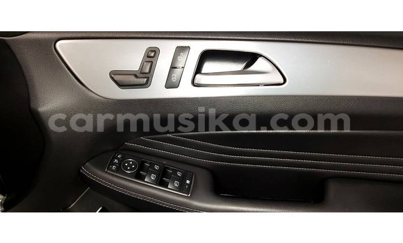 Tenga Tsaru Mercedes‒Benz ML–Class Sirivha Mota in Beitbridge in Matabeleland South Tenga Tsaru Mercedes‒Benz ML–Class Sirivha Mota in Beitbridge in Matabeleland South