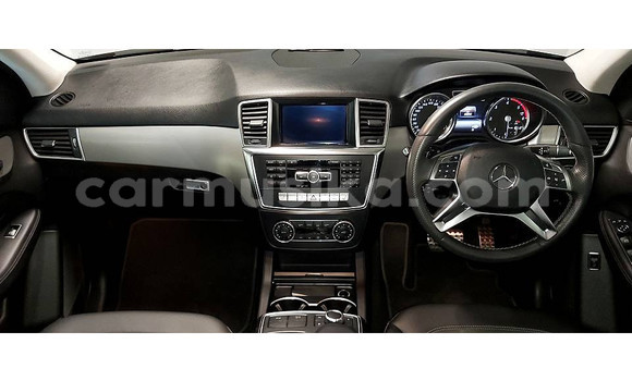 Tenga Tsaru Mercedes‒Benz ML–Class Sirivha Mota in Beitbridge in Matabeleland South Tenga Tsaru Mercedes‒Benz ML–Class Sirivha Mota in Beitbridge in Matabeleland South