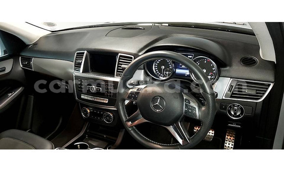 Tenga Tsaru Mercedes‒Benz ML–Class Sirivha Mota in Beitbridge in Matabeleland South Tenga Tsaru Mercedes‒Benz ML–Class Sirivha Mota in Beitbridge in Matabeleland South