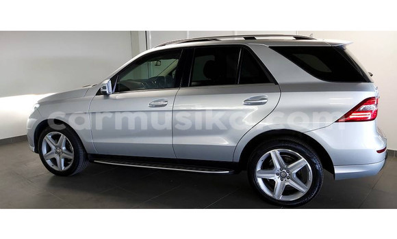 Tenga Tsaru Mercedes‒Benz ML–Class Sirivha Mota in Beitbridge in Matabeleland South Tenga Tsaru Mercedes‒Benz ML–Class Sirivha Mota in Beitbridge in Matabeleland South