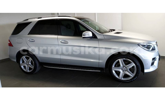 Tenga Tsaru Mercedes‒Benz ML–Class Sirivha Mota in Beitbridge in Matabeleland South Tenga Tsaru Mercedes‒Benz ML–Class Sirivha Mota in Beitbridge in Matabeleland South