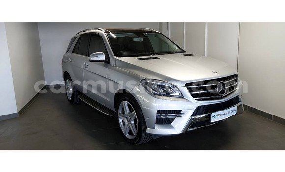 Tenga Tsaru Mercedes‒Benz ML–Class Sirivha Mota in Beitbridge in Matabeleland South Tenga Tsaru Mercedes‒Benz ML–Class Sirivha Mota in Beitbridge in Matabeleland South