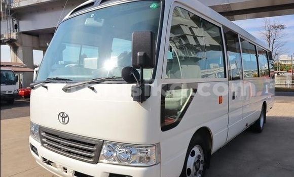 Buy Used Toyota Coaster White Car in Beitbridge in Matabeleland South