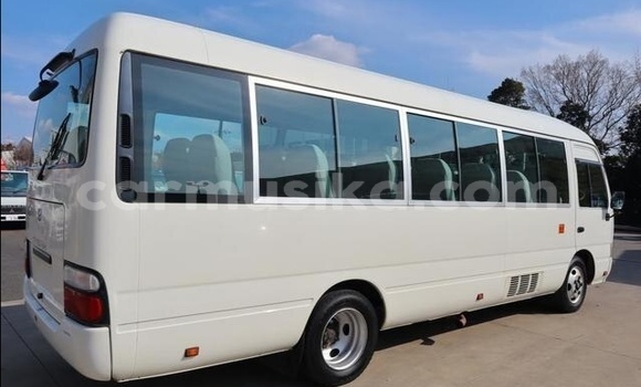 Acheter Occasion Voiture Toyota Coaster Blanc à Beitbridge, Matabeleland South Acheter Occasion Voiture Toyota Coaster Blanc à Beitbridge, Matabeleland South